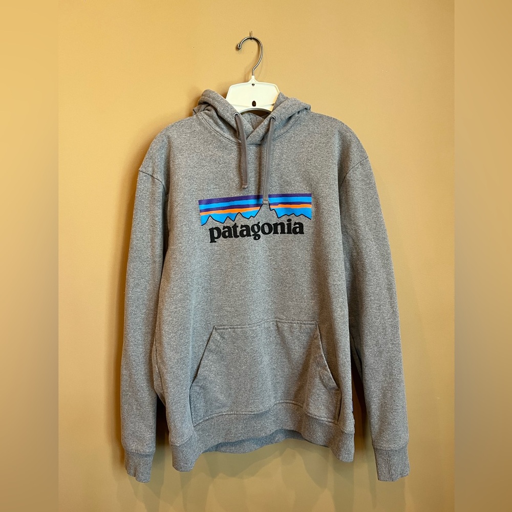 Patagonia Hoodie